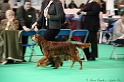 Crufts2011 035